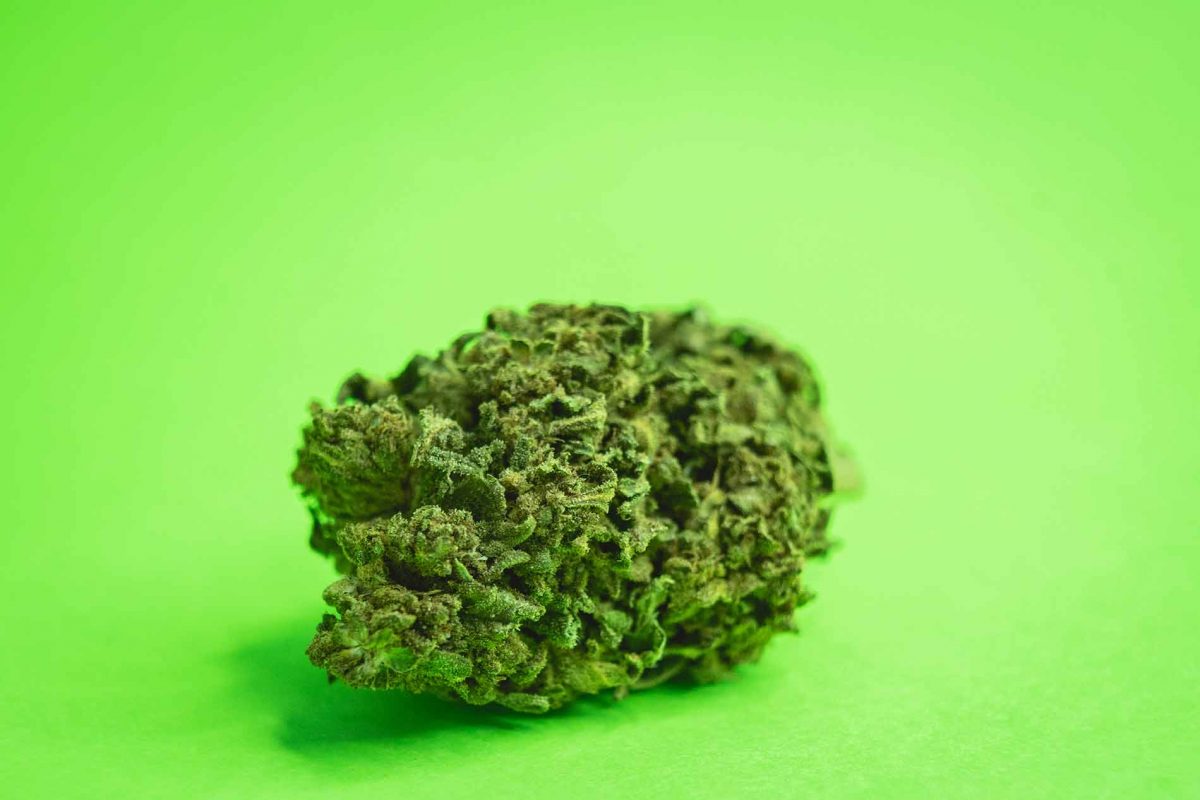 Cannabis Light Legale