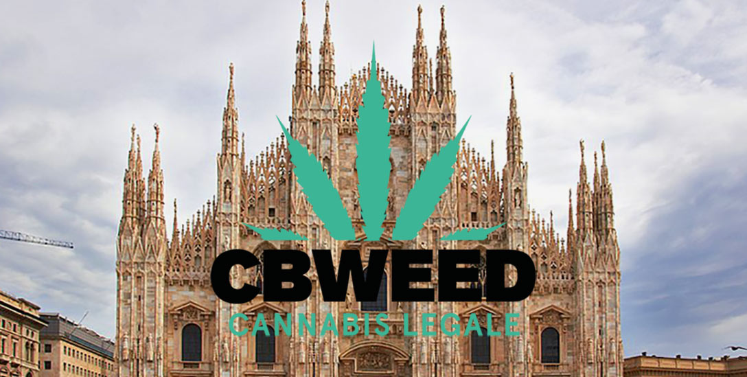 Comune Milano Regione Piemonte Cannabis Terapeutica