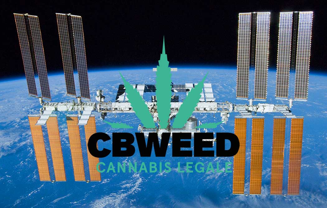 Cannabis Conquista Spazio Sperimentazioni ISS