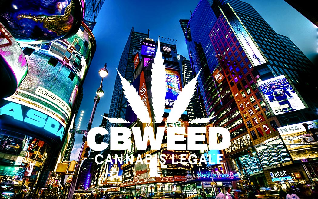 Cannabis Legale Stato New York Entro 2019