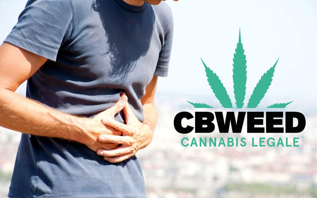 Benefici Cbd Cannabis Light Chi Soffre Celiachia Infiammazioni Intestinali
