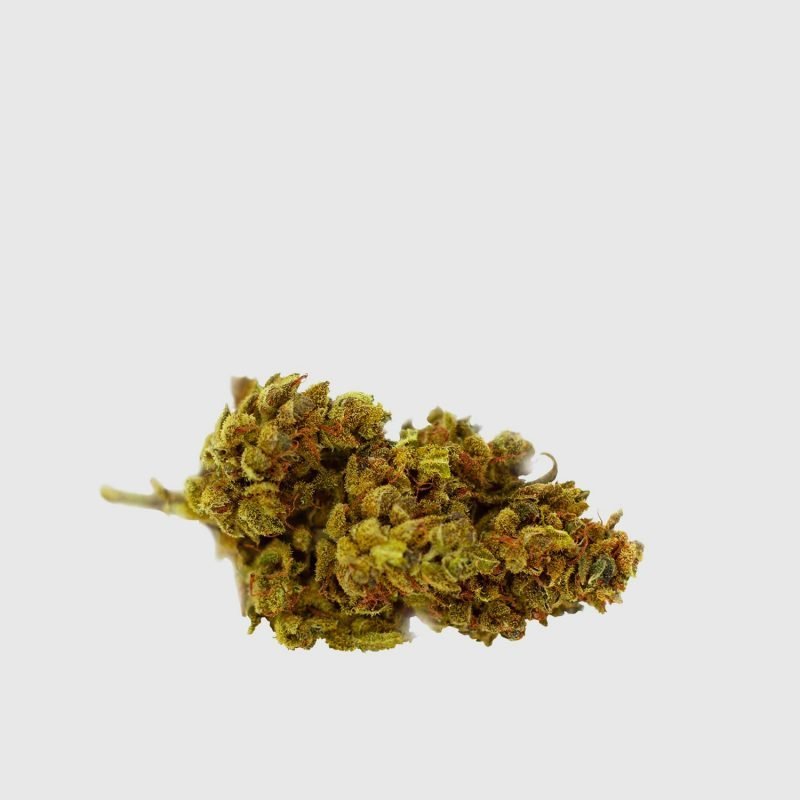 Cannabis Light Mango Haze CBD – 2g EU