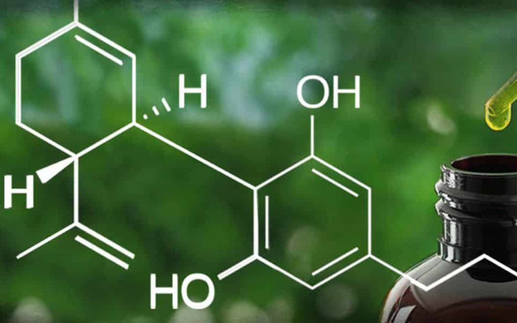 Guida Assunzione CBD Come Quando Assumere Cannabidiolo