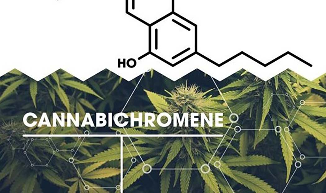 Cosa Cannabicromene Cannabinoide Antinfiammatorio Antidolorifico