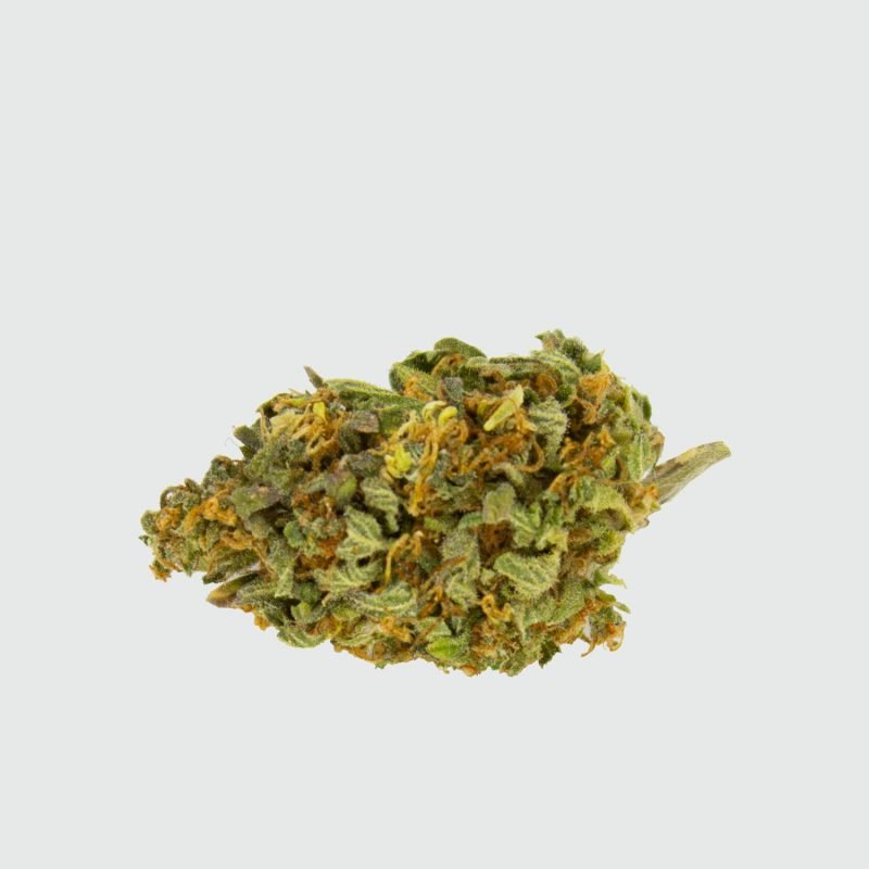 CBWEED-Green-House-Seed-Holy-Punch-CBD