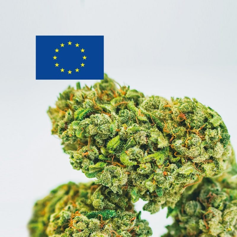 Cannabis Light Europe