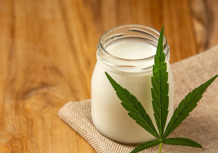 Latte-cannabis-CBD-benefici-ricetta-ricca-cannabinoidi